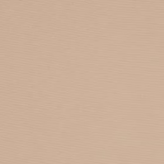 Orchestra Beige