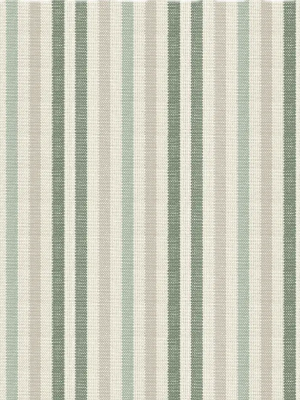 Cornish Stripe Fern