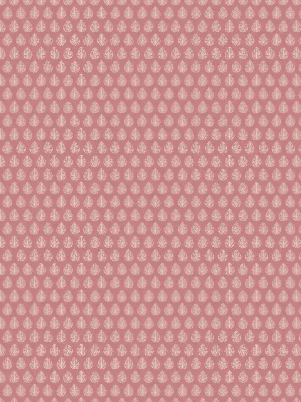 Jaipur Raspberry
