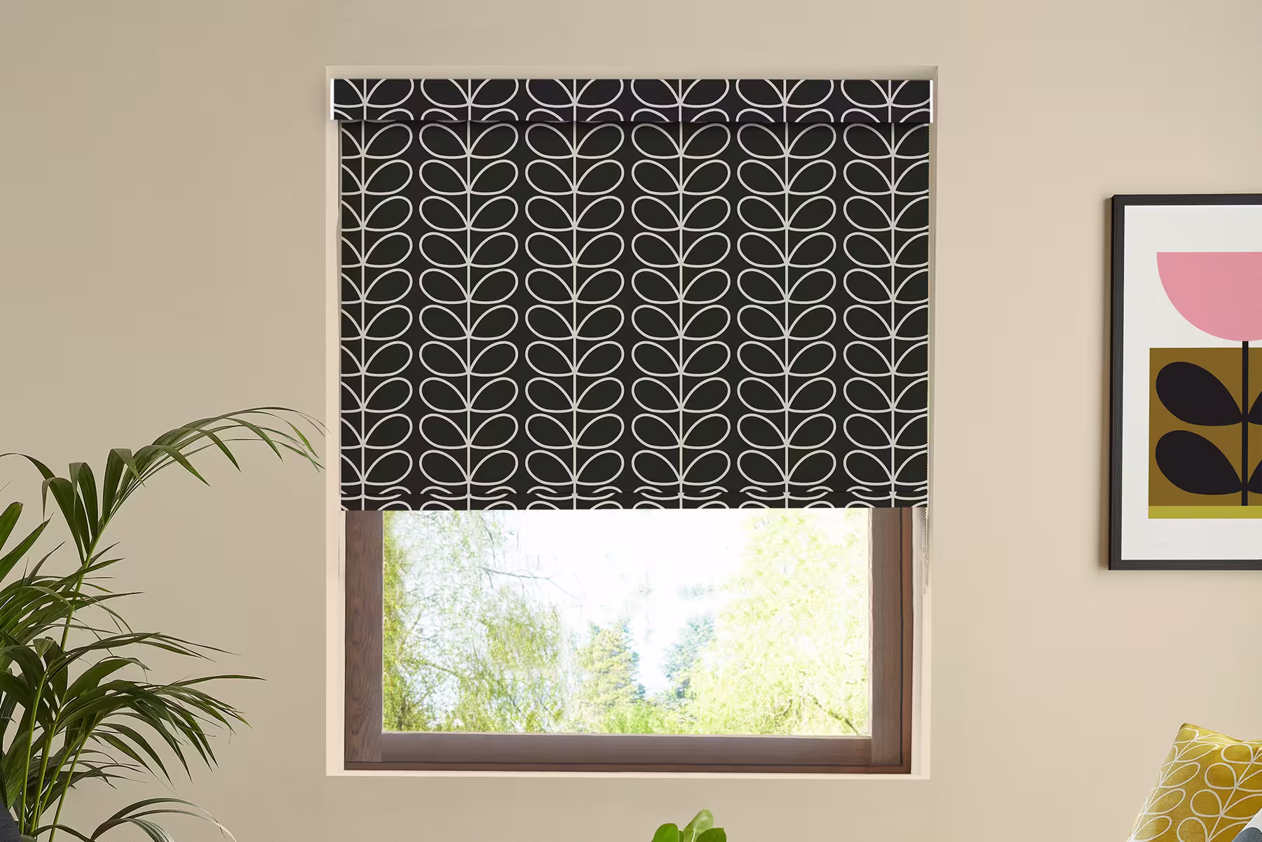 Linear Stem Liquorice Roller